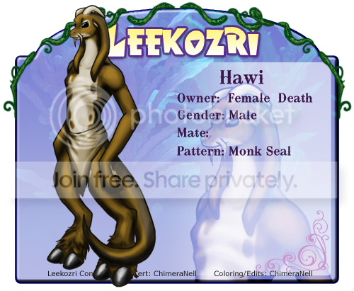 User Image